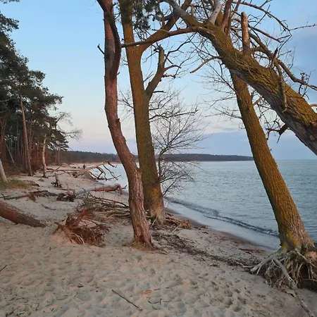 Zum Kranichblick Ideal Fuer Familien Gern Mit Hund Casa vacanze Garz (Rugen)