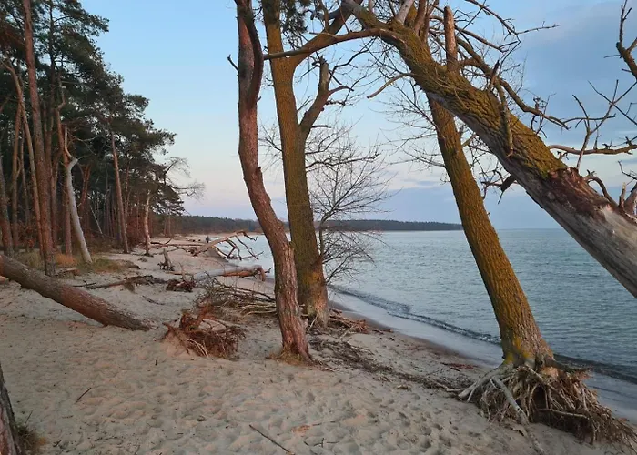 Zum Kranichblick Semesterbostad Garz (Rugen)